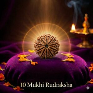 10 Mukhi Rudraksha