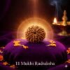 11 Mukhi Rudraksha