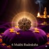 6 Mukhi Rudraksha