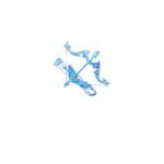SAGITTARIUS