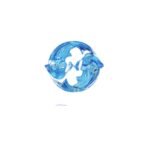 PISCES