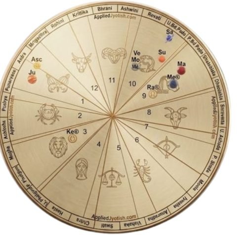 Untitled design (21)